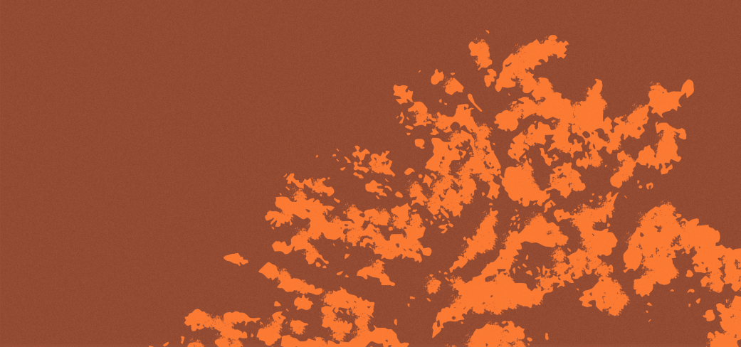 Guardian fund overlay placeholder portrait