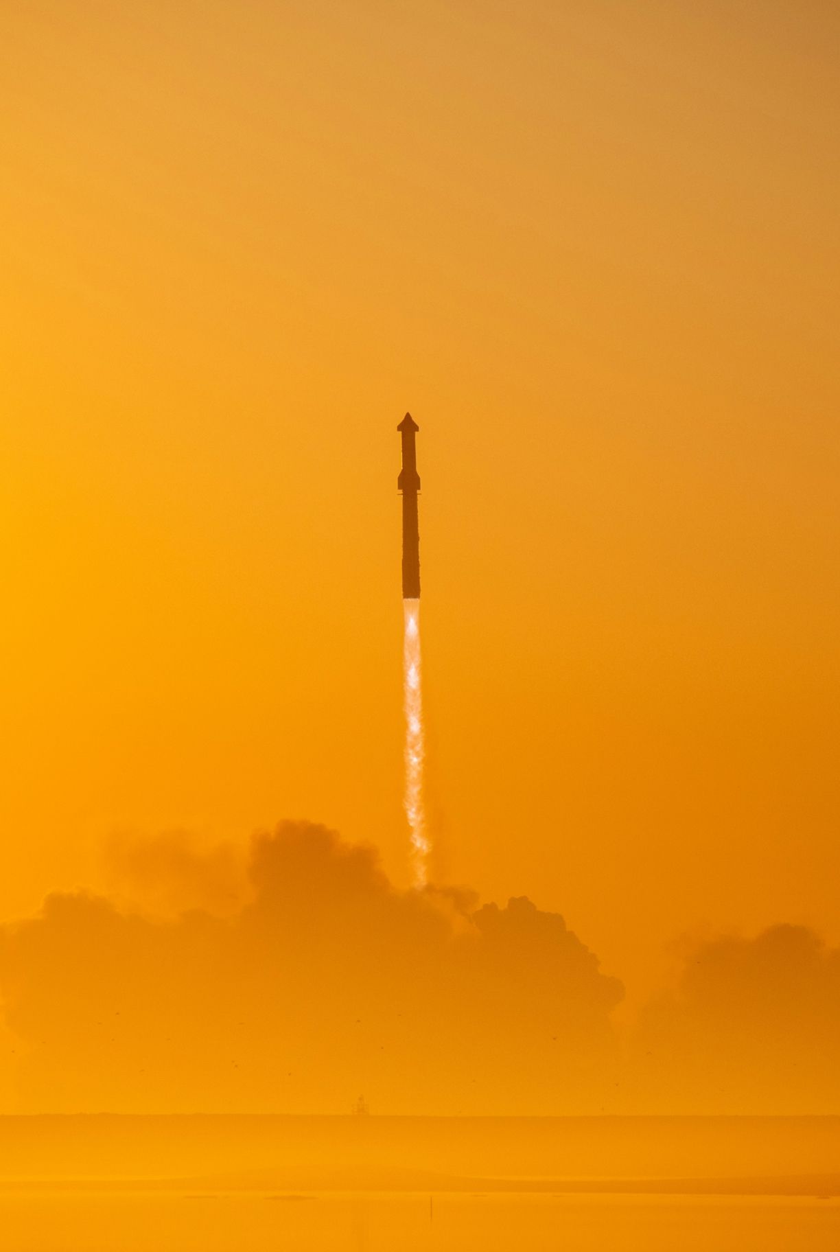 SpaceX placeholder portrait